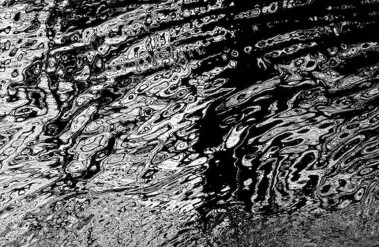 20186-header_dscf0994_2_copy_header.jpg