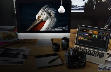 20190212__lifestyle_workstation.jpg