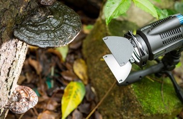 20196_header_31-2001_pt05.jpg
