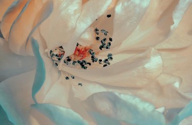 202510_motherofpearl_xdu_1_FGDu.jpg