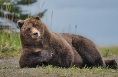 202512_Of_couse_I_will_take_the_salmon_Alaska_20222189_Feature_IUSA_Birmingham.jpg