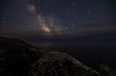202601_JoeSubolefsky_GannetMilkyway_PPA_image_request_Foreground_Subolefsky.jpg