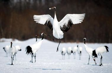202602_01_Japan_Hokkaido_Kushiro_9961_Goods_Location.jpg