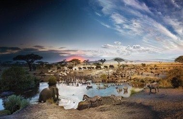 4.23-PP-StephenWilkes-D2N030_Serengeti-v25-4k_.jpg