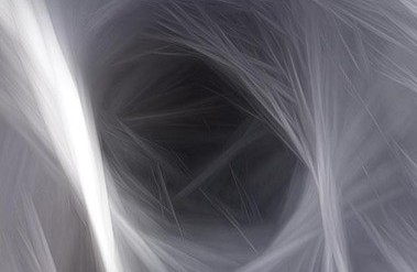 7.23-PP-Cropped-PF_.jpg