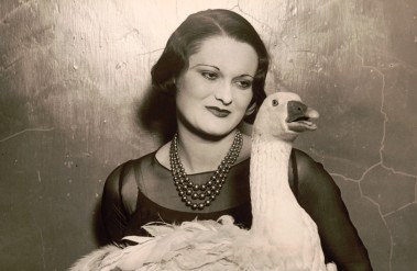 Horz-notanostrich.jpg
