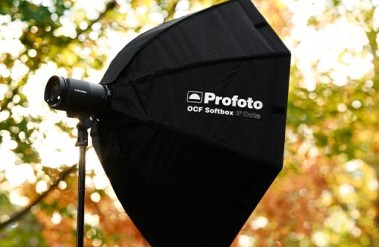 PFTop-picks-500x400.jpg