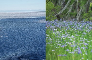 header-2020116.jpg