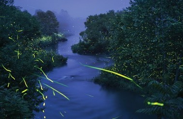 header-82020a7r3_190619_568_v2_flat.jpg