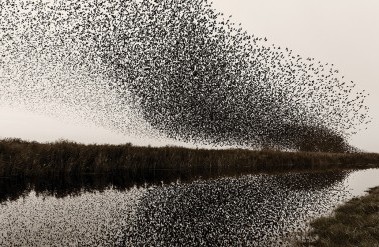 header-_i7r0805.jpg