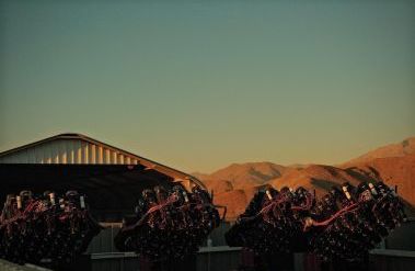 mothra_at_sunset.jpeg