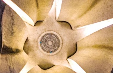 photofragment-june.jpg