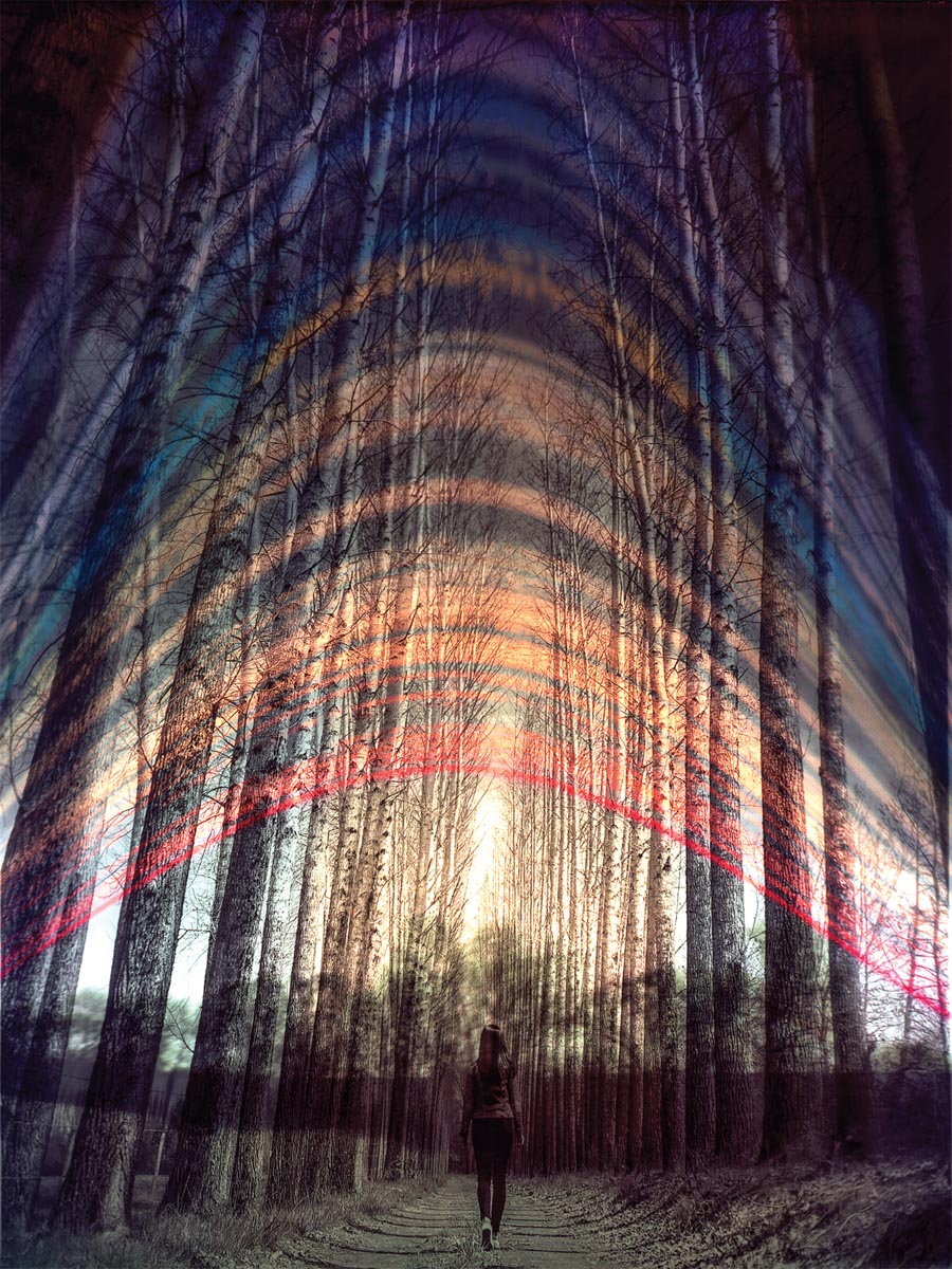 photo made from a pinhole camera showing sun trails in the sky and a girl walking through the woods
