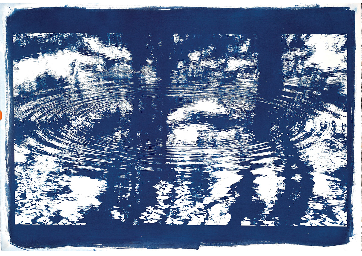 A cyanotype print of a photograph of trees reflected in a pond