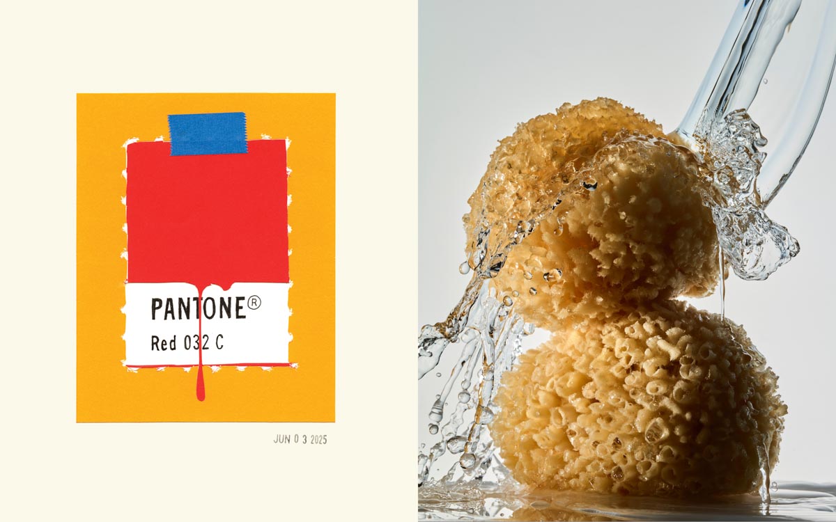 a drawing of a color sample on the right and a photo of water splashing two sponges on the right